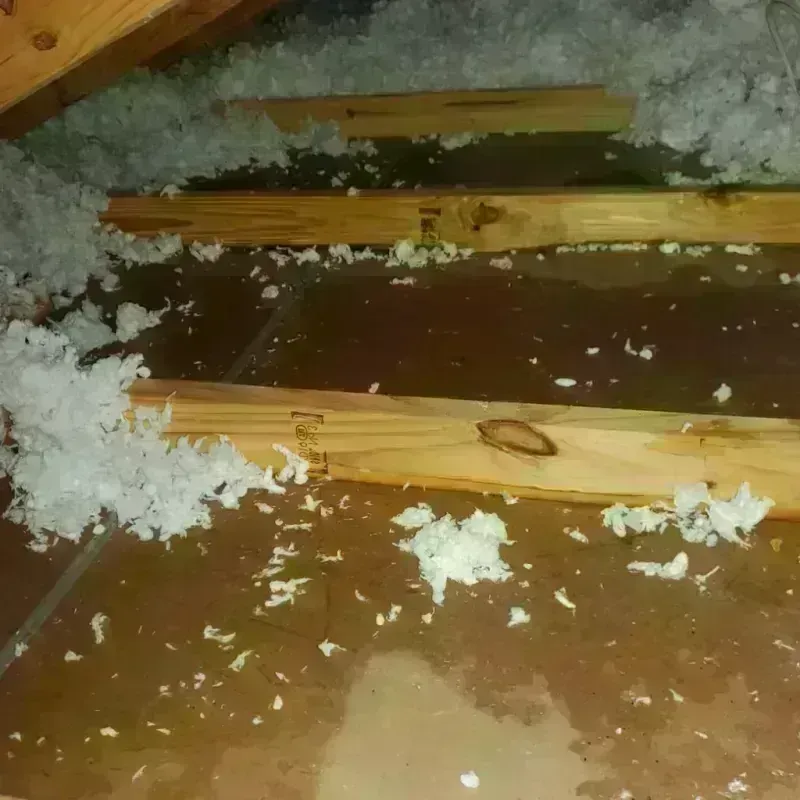 Attic Water Damage in Brookhaven, GA