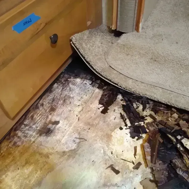 Wood Floor Water Damage in Brookhaven, GA